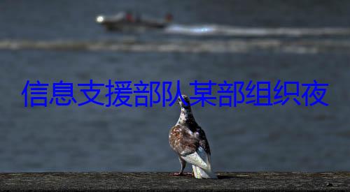 练图夜间修理训信息支援部队某部组织