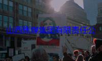 山西焦煤集团有限责任公司原副总经理杨新华接受审查调查